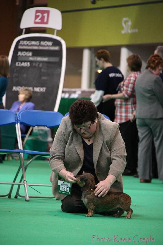 Crufts2011_2 1430.jpg